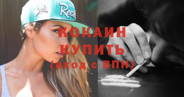 индика Армянск