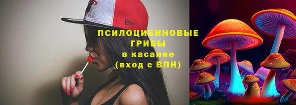 apvp Арсеньев