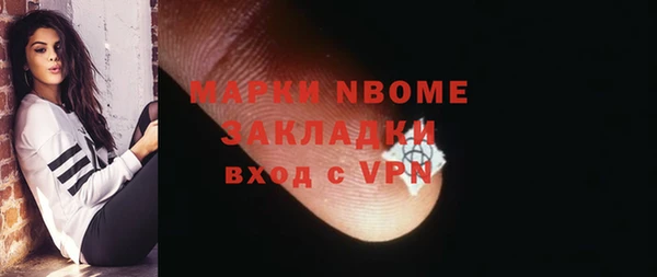 индика Аркадак