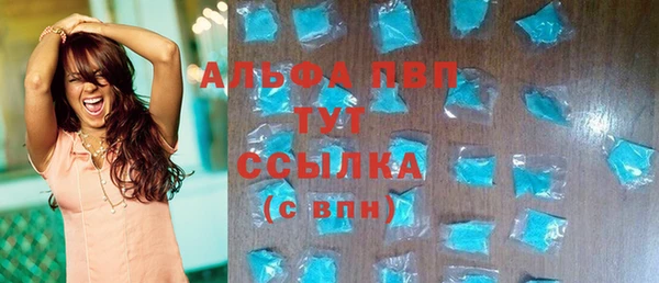 индика Армянск