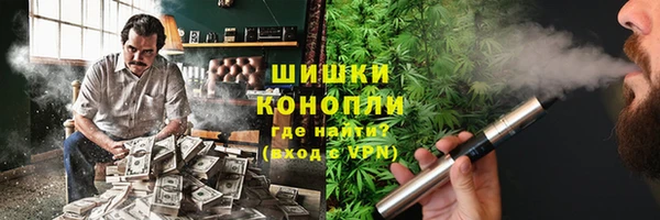 индика Аркадак
