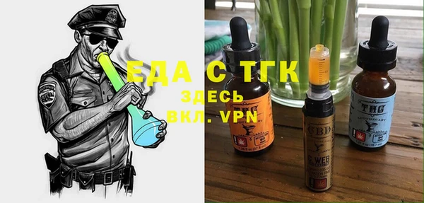 индика Аркадак