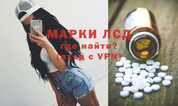 индика Аркадак