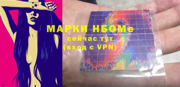 индика Аркадак